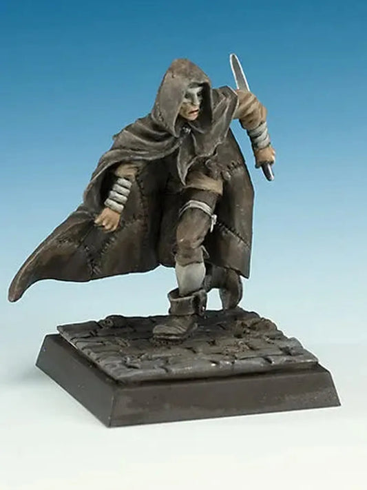 Coscritti und Harlequin-Freebooter Miniatures-Radaddel