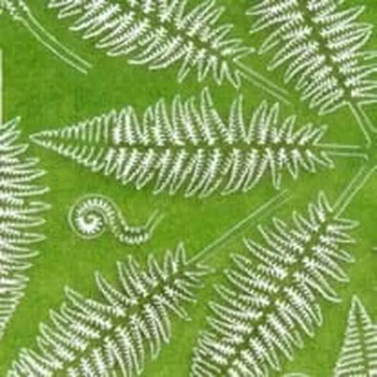 Fern Set-AK-Interactive-Radaddel