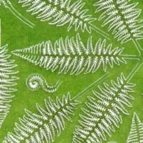 Fern Set-AK-Interactive-Radaddel