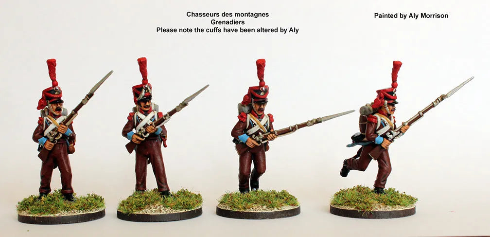 French Napoleonic Infantry Battalion 1807-14-Perry Miniatures-Radaddel