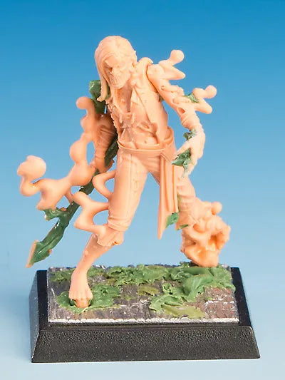 Nebelwölfe | Schatten-Freebooter Miniatures-Radaddel