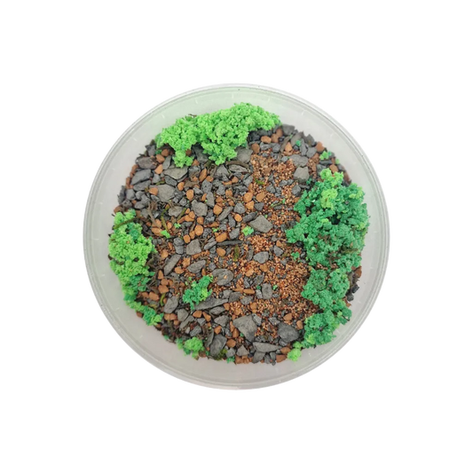 Basetopping: BATTLEFIELD (140ml) (battlefield series)-Base X Terrain & Scenery-Radaddel