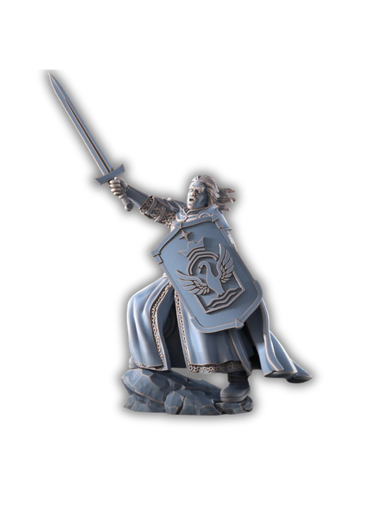 Hauptmann der Schwanenritter-Pasch Spiele-Radaddel
