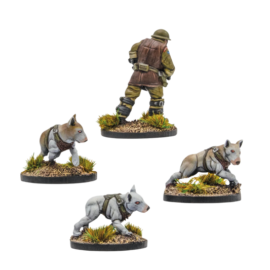 Konflikt '47 Cerberus Squad 1