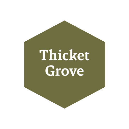 John Blanche: Thicket Grove