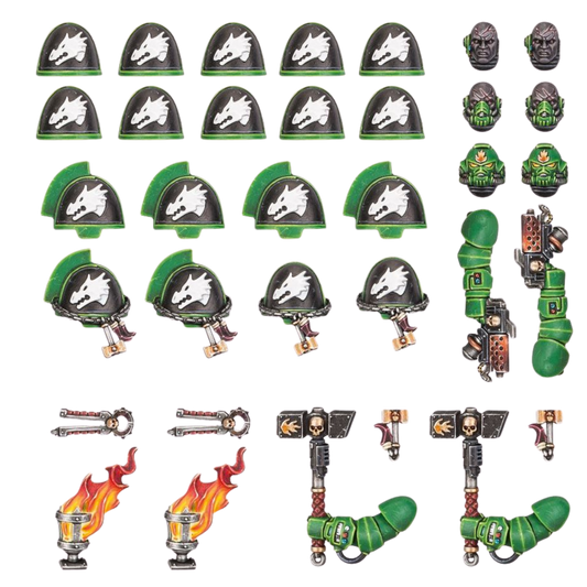 Salamanders: Upgrades & Transfers
