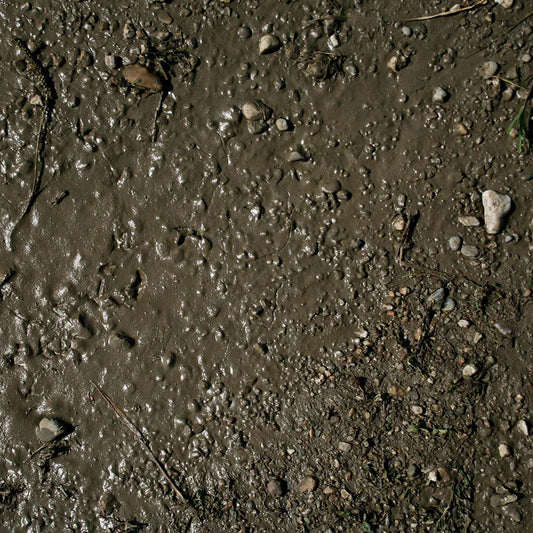 Terrains Wet Ground - 250ml (Acryl)-AK-Interactive-Radaddel