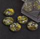 Round Highland Bases 40mm (x5)-Gamers Grass-Radaddel