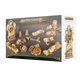Dominion of Sigmar: Timeworn Ruins-Games Workshop-Radaddel