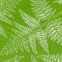 Bracken Farn Set-AK-Interactive-Radaddel