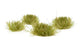 Tiny Tufts Dry Green-Gamers Grass-Radaddel