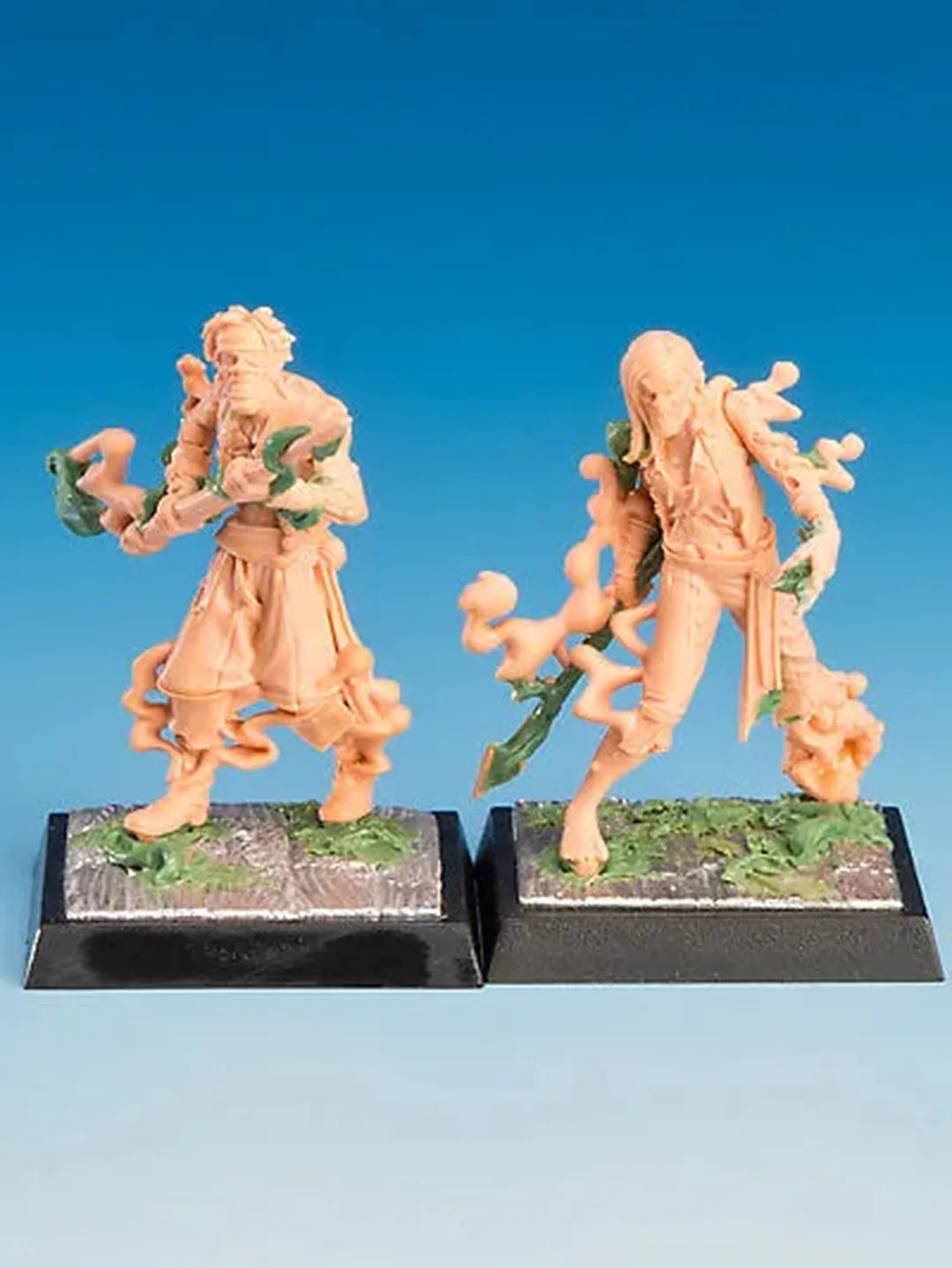 Nebelwölfe | Schatten-Freebooter Miniatures-Radaddel