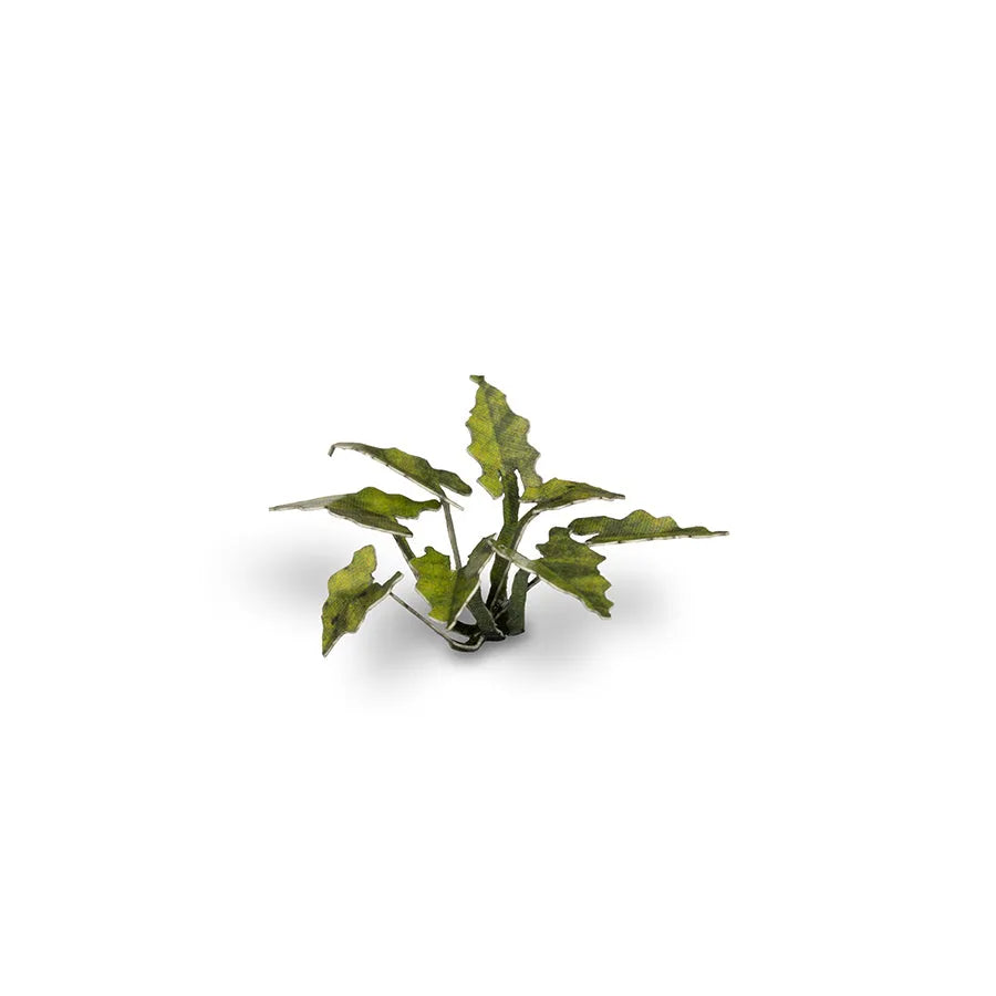 Lords-and-Ladies | Laser Plants-Gamers Grass-Radaddel