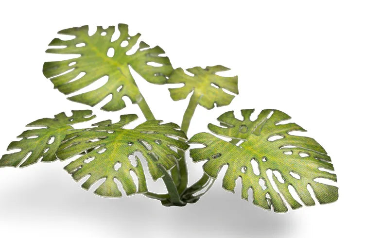 Monstera | Laser Plants-Gamers Grass-Radaddel