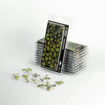 Monstera | Laser Plants-Gamers Grass-Radaddel