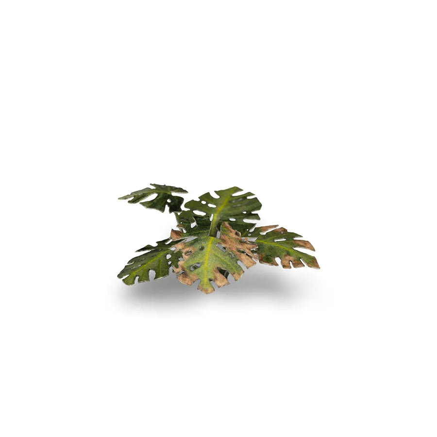 Monstera | Laser Plants-Gamers Grass-Radaddel