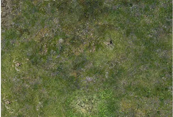 Neoprene Mat the Valley 44x60'-PWork Wargames-Radaddel