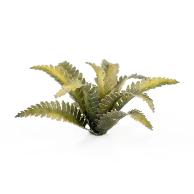 Deer Fern | Laser Plants-Gamers Grass-Radaddel
