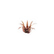 Red Aloe | Laser Plants-Gamers Grass-Radaddel