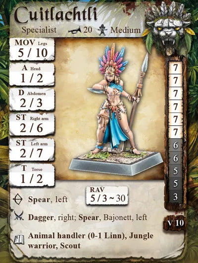 Cuitlachtli & Linn | Amazonen-Freebooter Miniatures-Radaddel