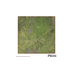 RPG Rewritable Combat Map Forest 36X48"-PWork Wargames-Radaddel