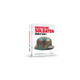 Deutsche Soldaten (1914-18) (englisch)-AK-Interactive-Radaddel