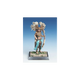 Pehua 2 | Amazonen-Freebooter Miniatures-Radaddel