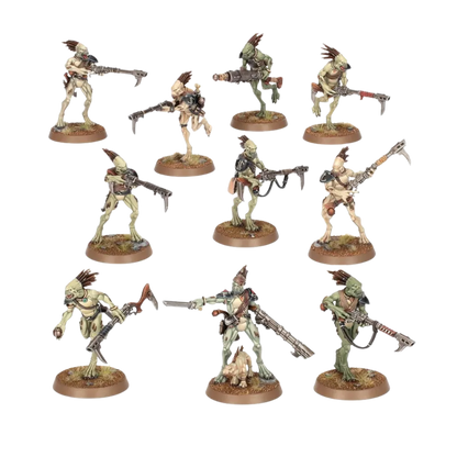 Tau Empire: Kroot Carnivores-Games Workshop-Radaddel