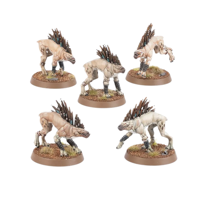 Tau Empire: Kroot Hounds-Games Workshop-Radaddel
