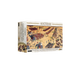 Battles: Hannibal Barcas Carthaginian Army-Warlord Games-Radaddel