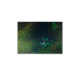 Neoprene Mat 2-sided Swamp 36x36''-Playmats.eu-Radaddel