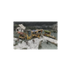 Battle Systems - Marketplace-Battle Systems-Radaddel