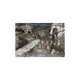 Battle Systems - Graveyard-Battle Systems-Radaddel