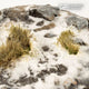 Winter - Round 80mm (x1)-Gamers Grass-Radaddel