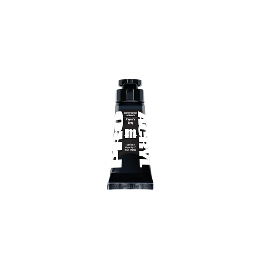Pro Acryl Expert Payne's Grey-Monument Hobbies-Radaddel