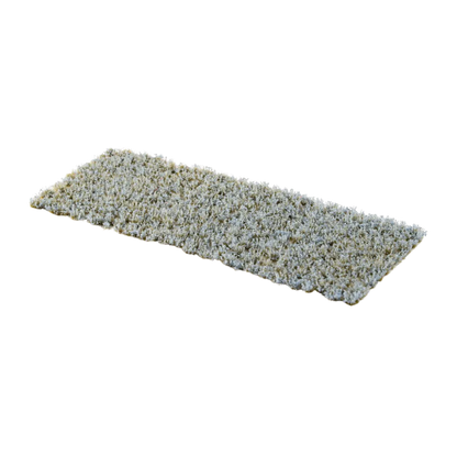 Forget-me-not Tiny Flowers-Gamers Grass-Radaddel
