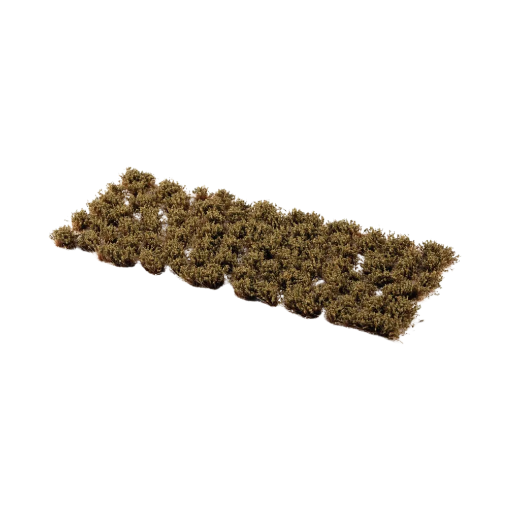 Swamp Shrubs-Gamers Grass-Radaddel