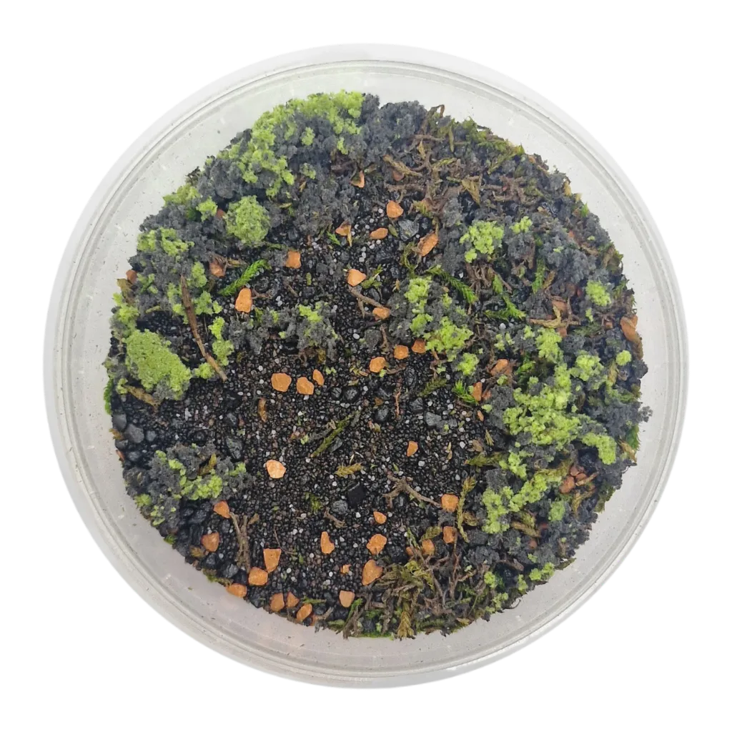 Basetopping: WARGROUND (140ml) (battlefield series)-Base X Terrain & Scenery-Radaddel
