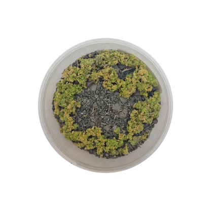 Basetopping: SIEGE GROUND (140ml) (battlefield series)-Base X Terrain & Scenery-Radaddel