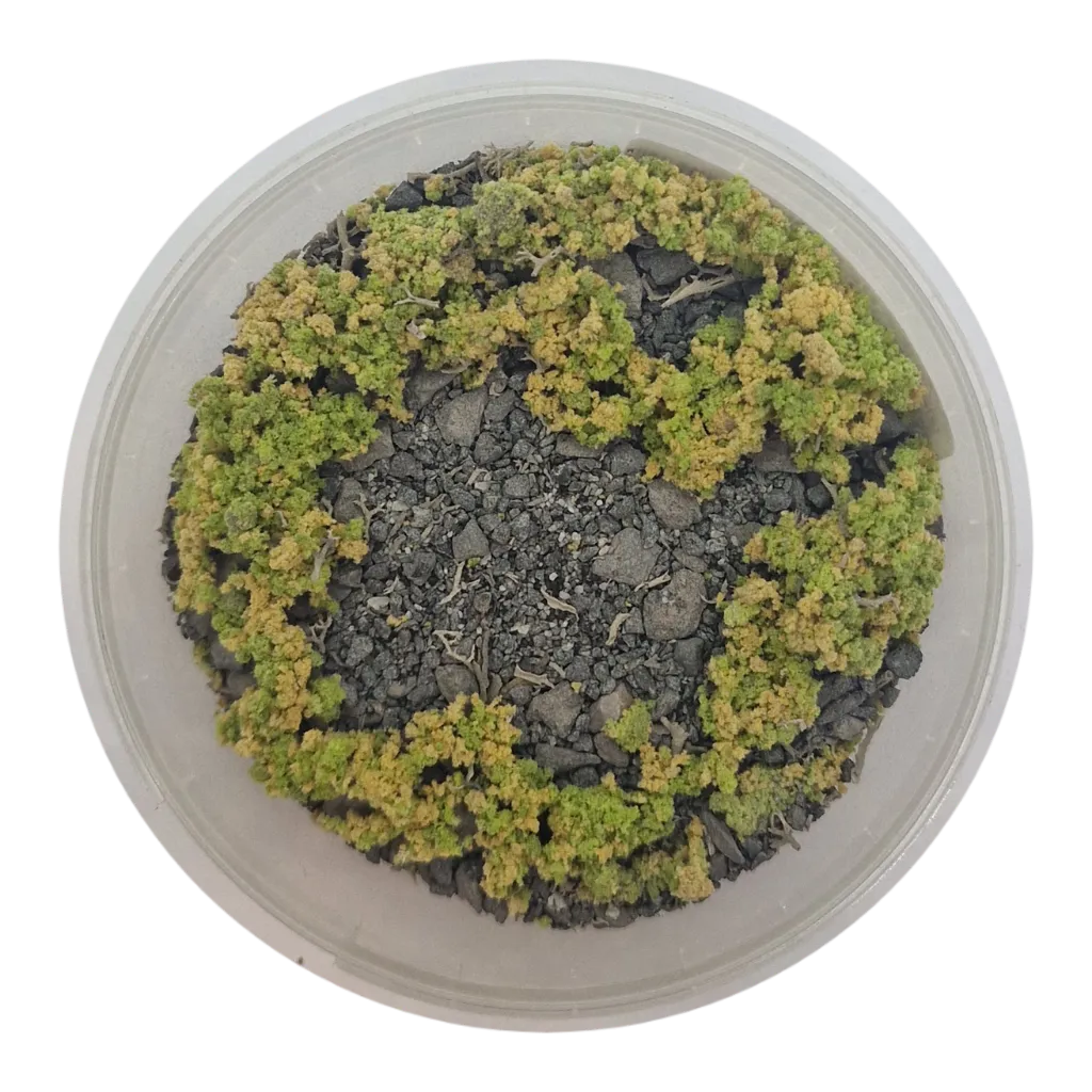 Basetopping: SIEGE GROUND (140ml) (battlefield series)-Base X Terrain & Scenery-Radaddel