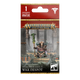 Helsmiths of Hashut: War Despot-Games Workshop-Radaddel