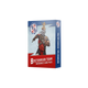 Blood Bowl: Bretonnian Team Card Pack (englisch)-Games Workshop-Radaddel