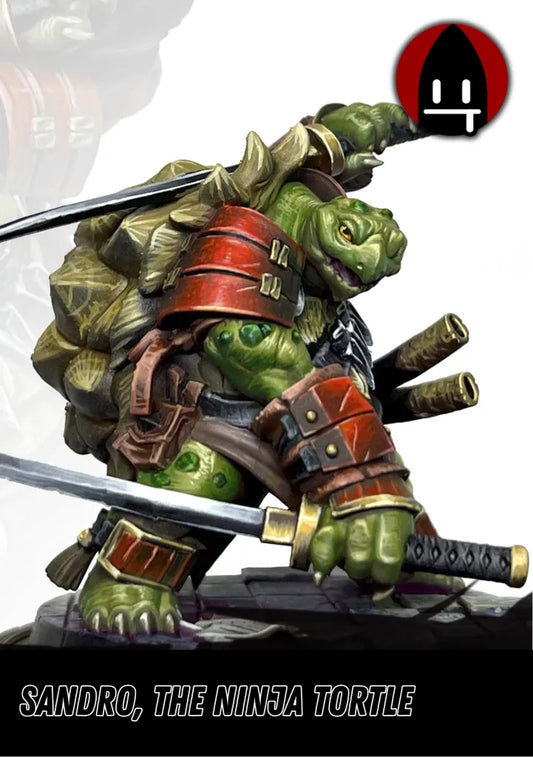 Sandro, the Ninja Tortle-Pasch Spiele-Radaddel