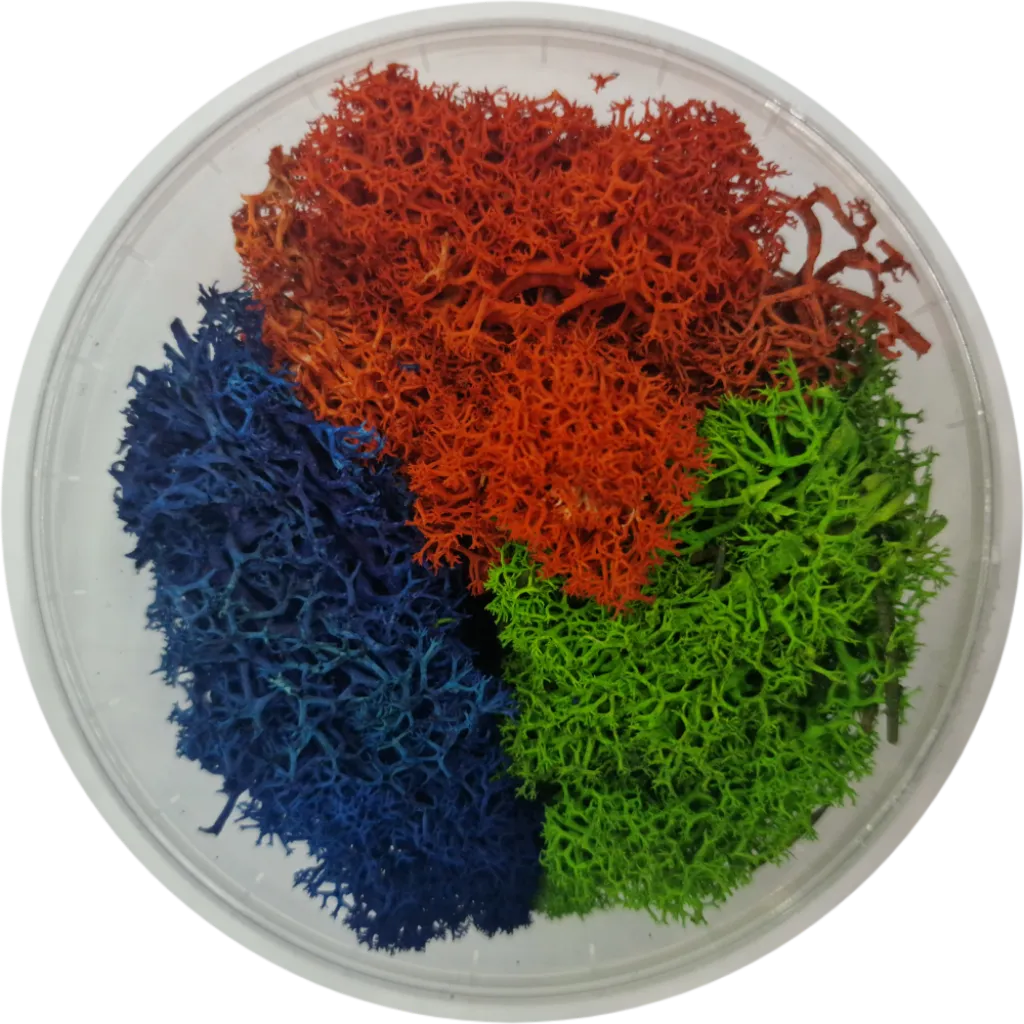 Basetopping: MOOS³ SET AQUAFLORA-Base X Terrain & Scenery-Radaddel