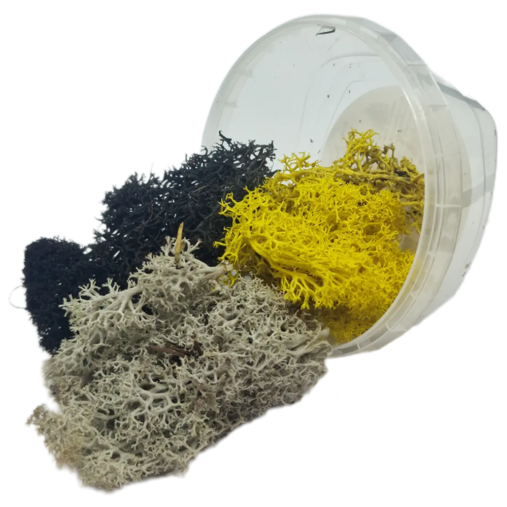 Basetopping: MOOS³ SET SIEGEKRAUT-Base X Terrain & Scenery-Radaddel