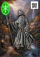 Gaenalf der Sturm-Pasch Spiele-Radaddel