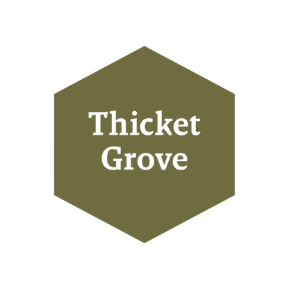 John Blanche: Thicket Grove