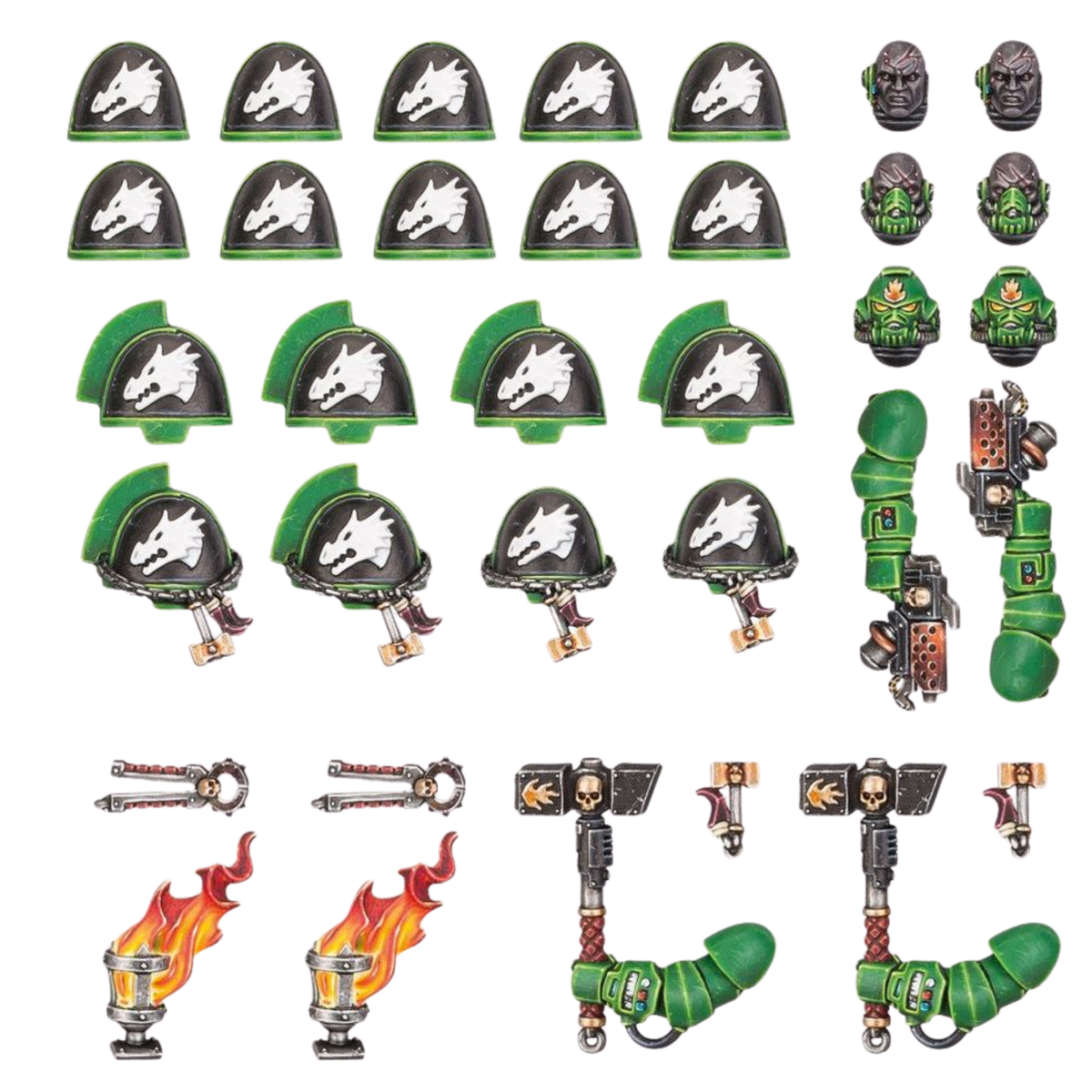 Salamanders: Upgrades & Transfers