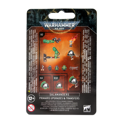 Salamanders: Upgrades & Transfers