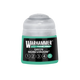 Tone: Green Morkshroom 5 (12ml) 20-285-Games Workshop-Radaddel